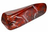 Polished Stromatolite (Collenia) - Minnesota #104431-2